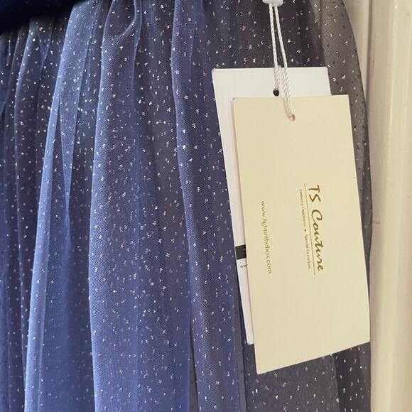 Fairy starfall ball velvet ombré tulle ballgown - Picture 3 of 9